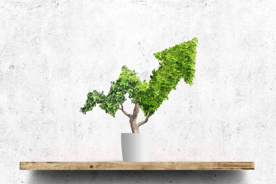 đầu tư bền vững là gì