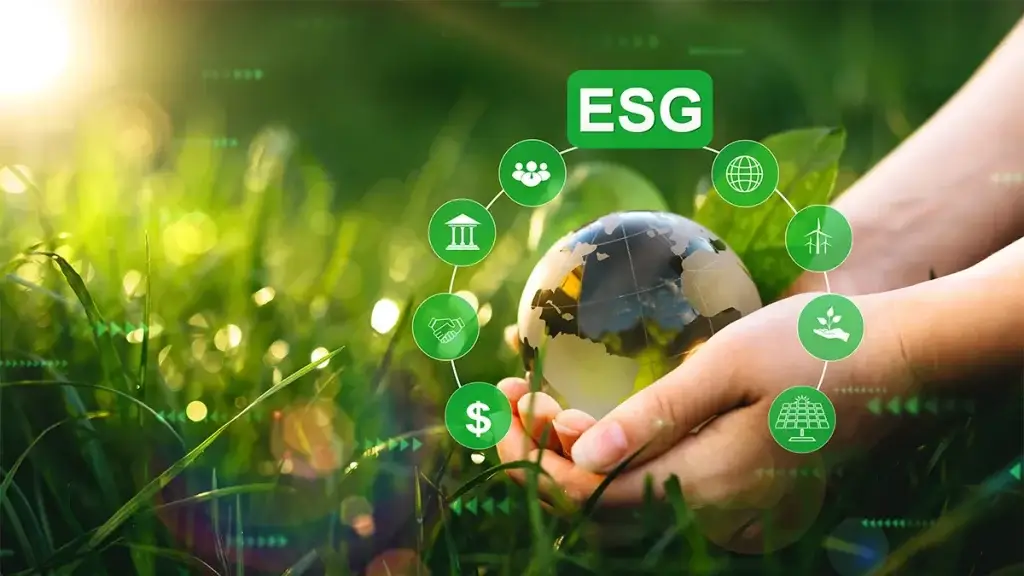 ESG framework DSF là gì
