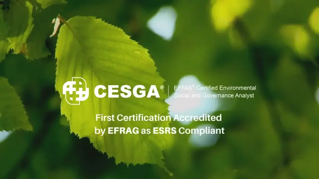 Chứng chỉ ESG