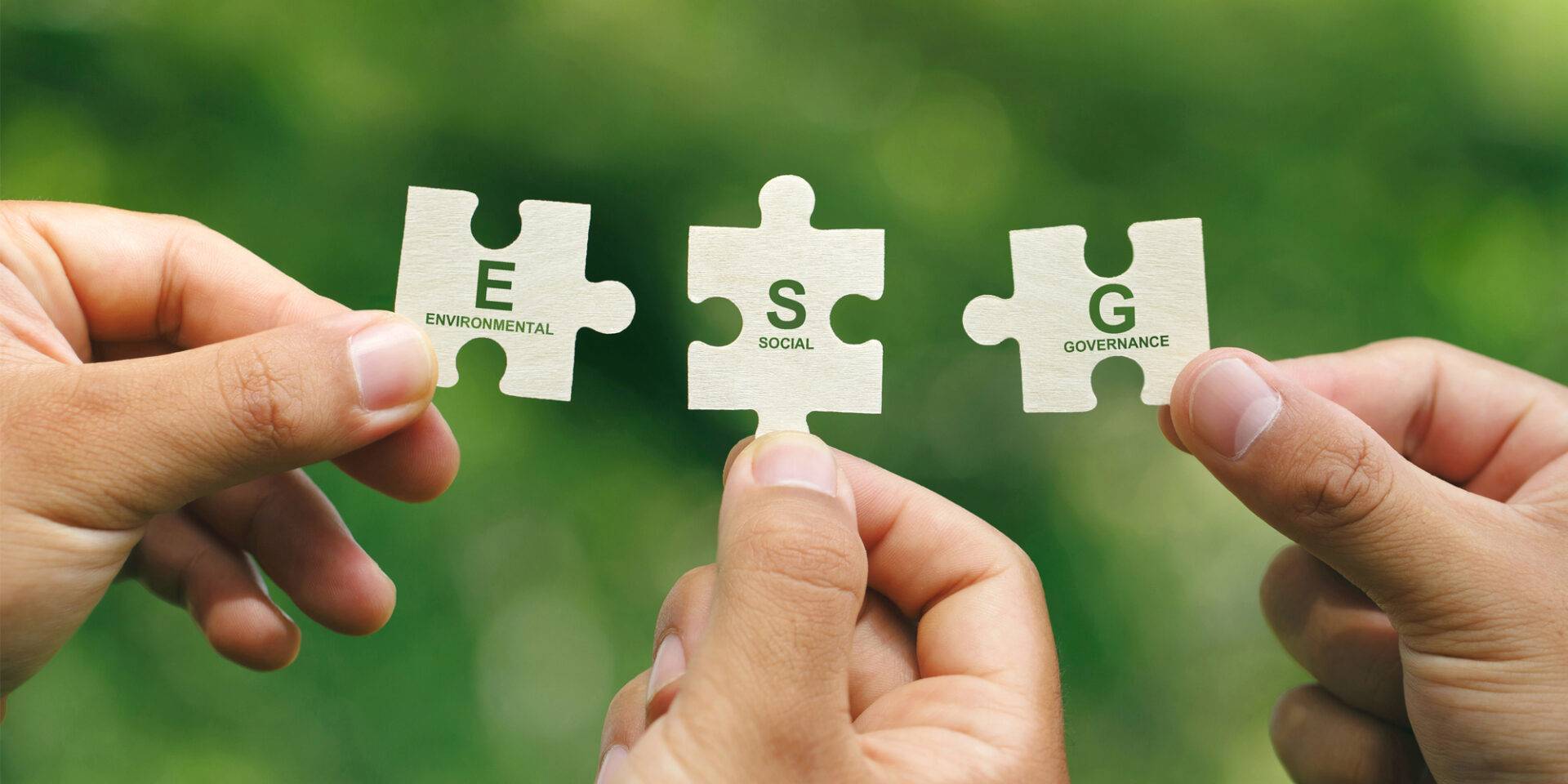 Chứng chỉ ESG