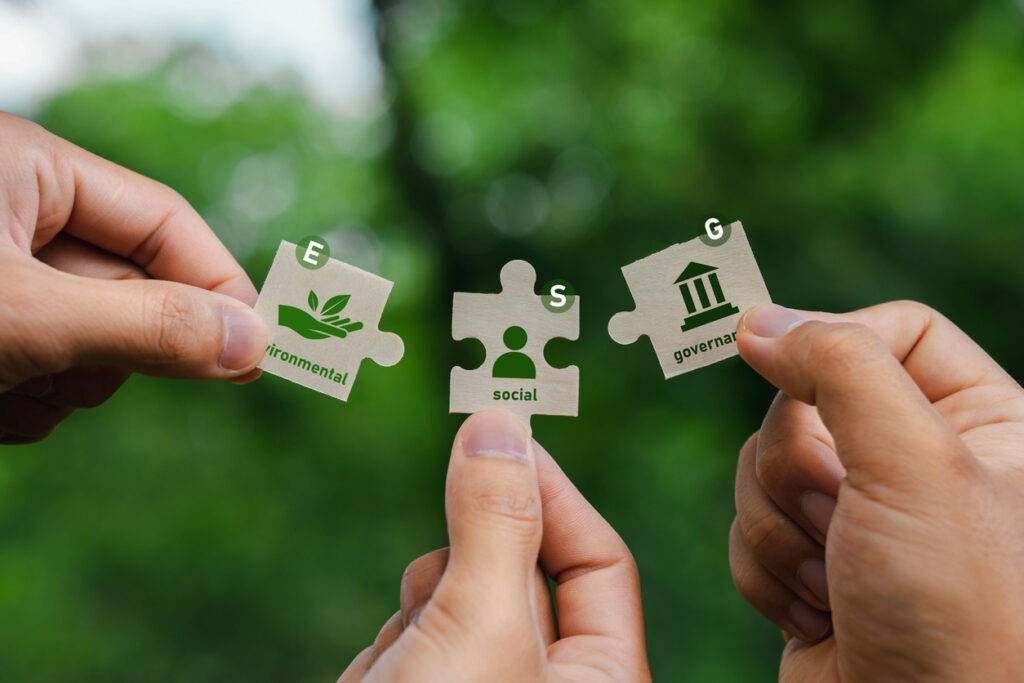 Vai trò của ESG manager là gì?