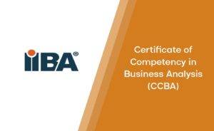 Chứng chỉ CCBA là gì?